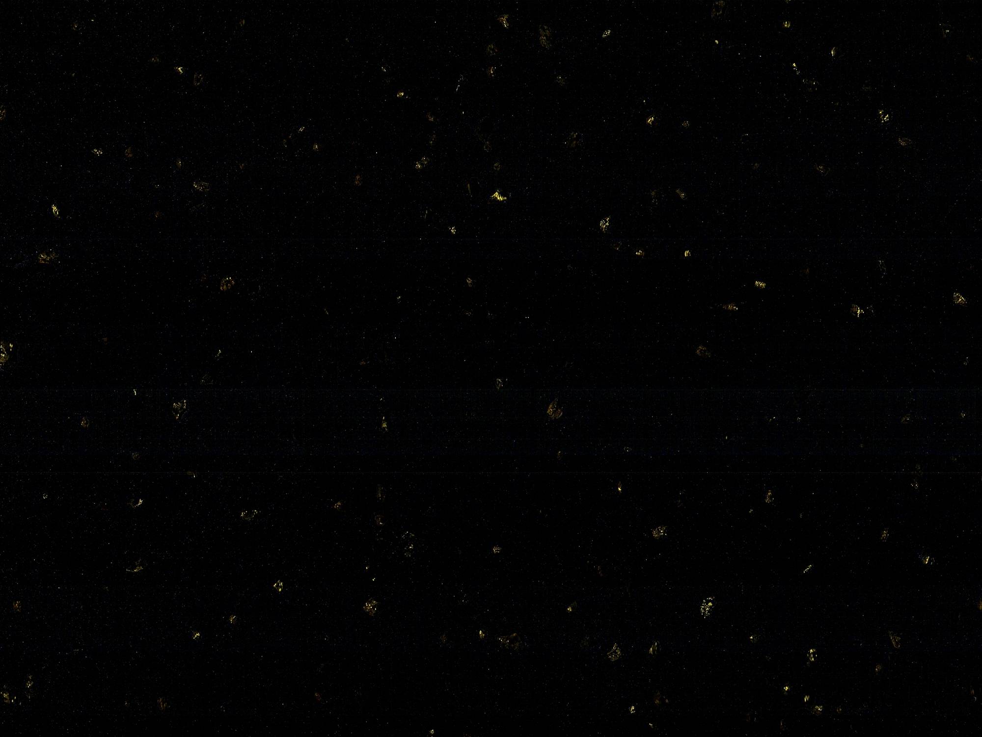 dark black galaxy golden dots artificial marble 