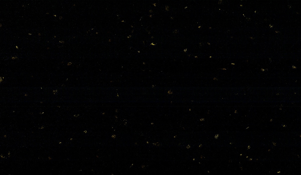 black-galaxy-artificial-marble-texture-close-up Close-up texture of Black Galaxy Artificial Marble with golden dots