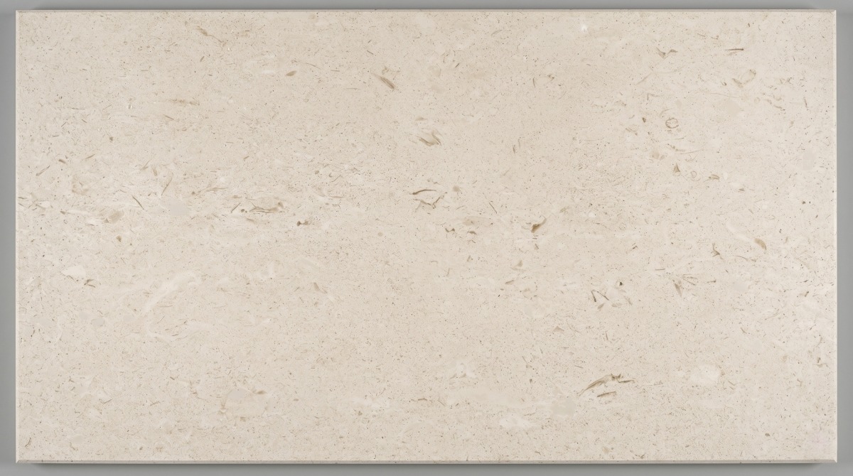 moonlight-beige-fossil-limestone-close-up-texture Close-up of Moonlight Beige fossil limestone with light beige tone, shell fossil fragments, fine sedimentary grains, and honed natural surface.