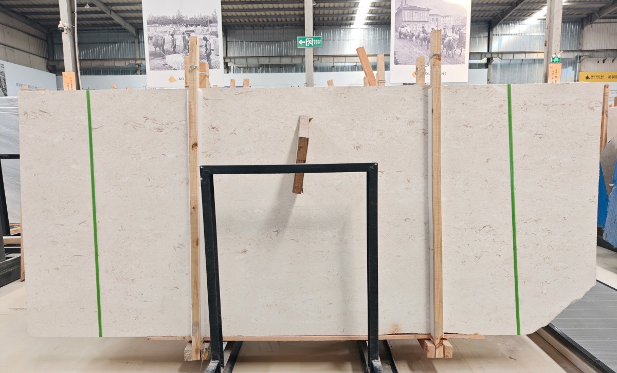 moonlight-beige-fossil-limestone-slab-aoli-stone-factory-display Moonlight Beige fossil limestone slab displayed in Aoli Stone factory, showing light beige cream tone, natural shell fossil texture, honed matte surface, and raw slab edge for B2B stone projects.
