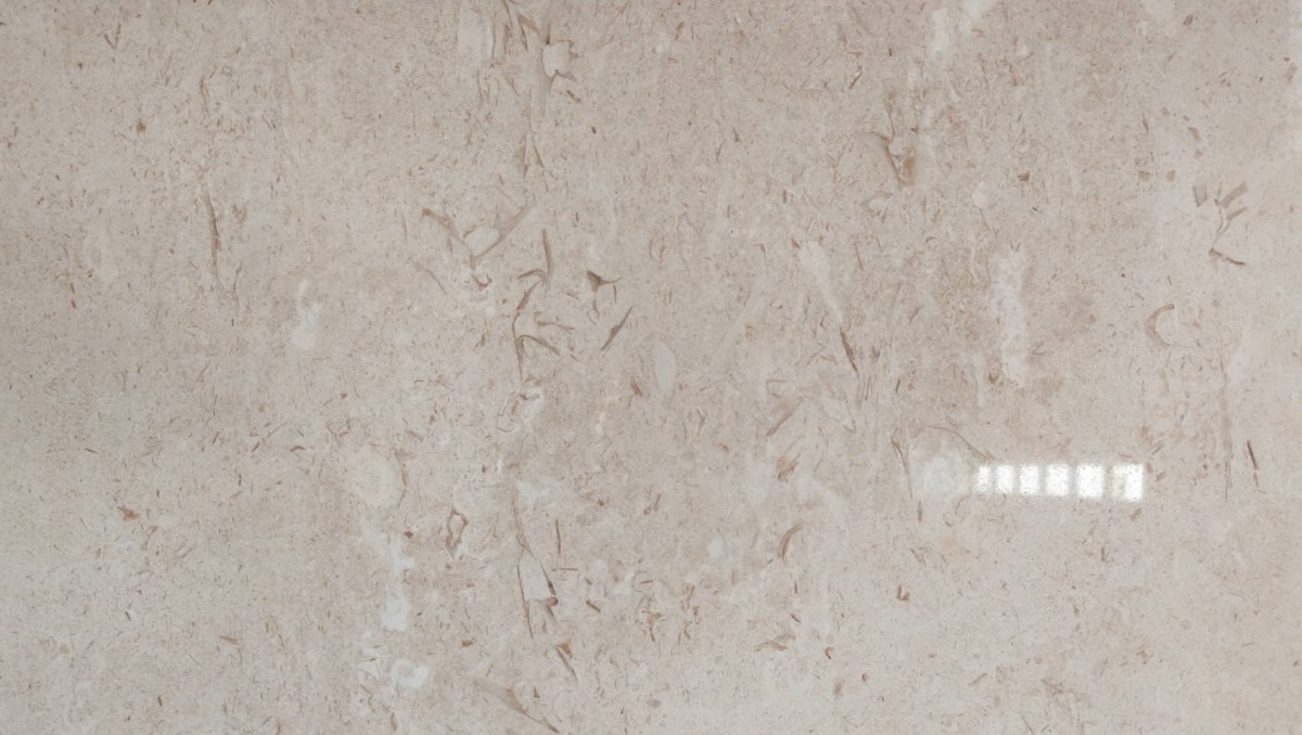 moon-beige-limestone-fossil-texture-close-up Close-up of shell fossils, fine sedimentary grains and natural pores in Moon Beige limestone