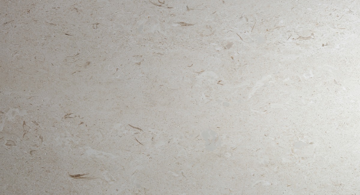 moonlight-beige-limestone-fossil-detail Close view of shell fossils, fine grains and small pores in Moonlight Beige Limestone